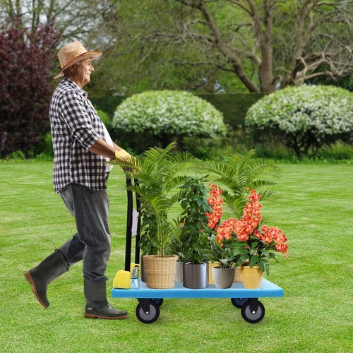 Carrello mano piattaforma - mano,